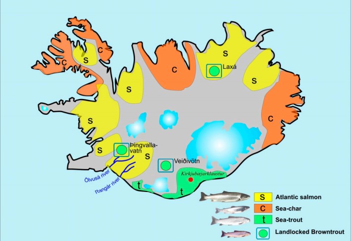 overview