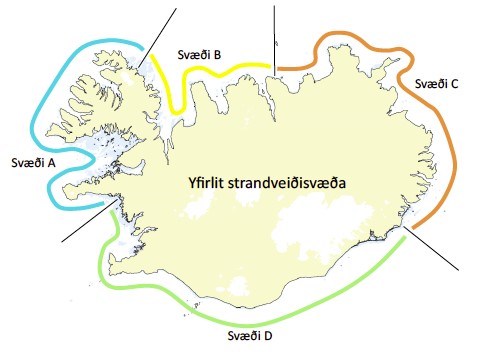 overview